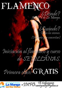 Flamenco 2013